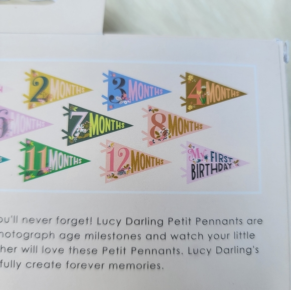 2/$20 Little Artist Milestone Pennants - Picture 5 of 15